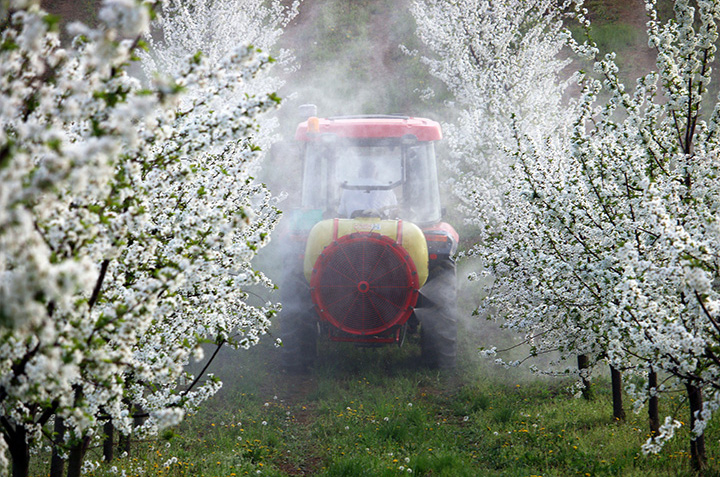 Protection against contamination with pesticides